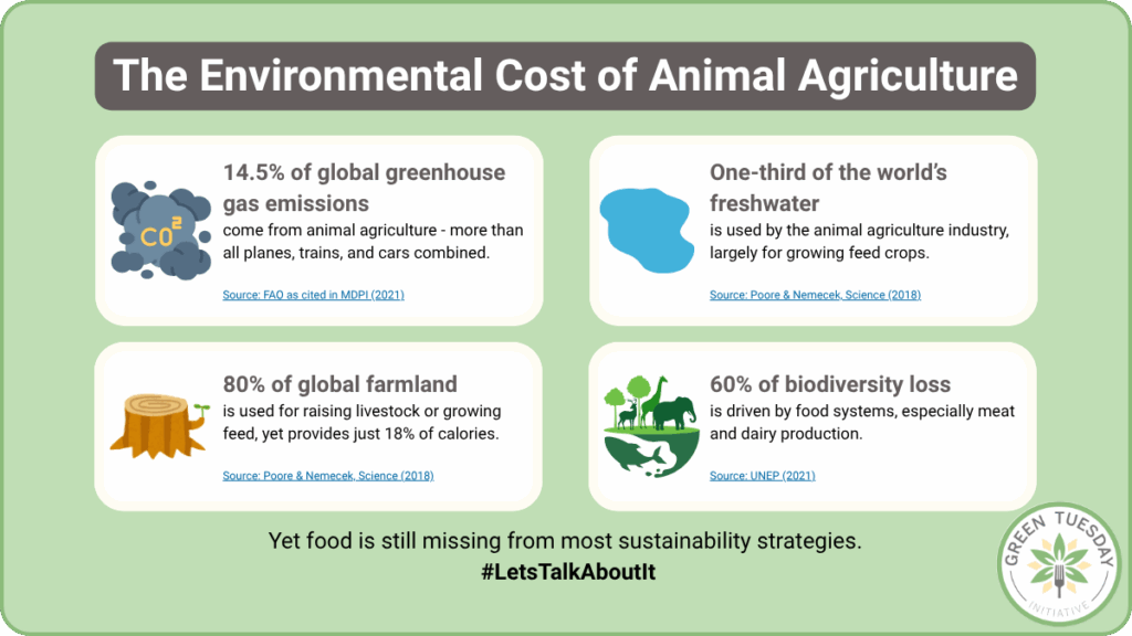 Infographic titled "The Environmental Cost of Animal Agriculture" showing four key statistics about animal agriculture's environmental impact: 14.5% of global greenhouse gas emissions, significant contributor to freshwater use, 80% of farmland used for livestock with only 18% of calories provided, and agriculture as a primary driver of biodiversity loss. Includes the hashtag #LetsTalkAboutIt.
