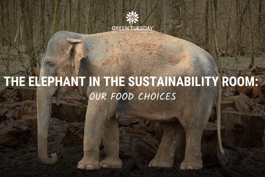 Banner Image with an elephant standing in front of deforested land titled, "The Elephant in The Sustainability Room: Our Food Choices." #LetsTalkAboutIt