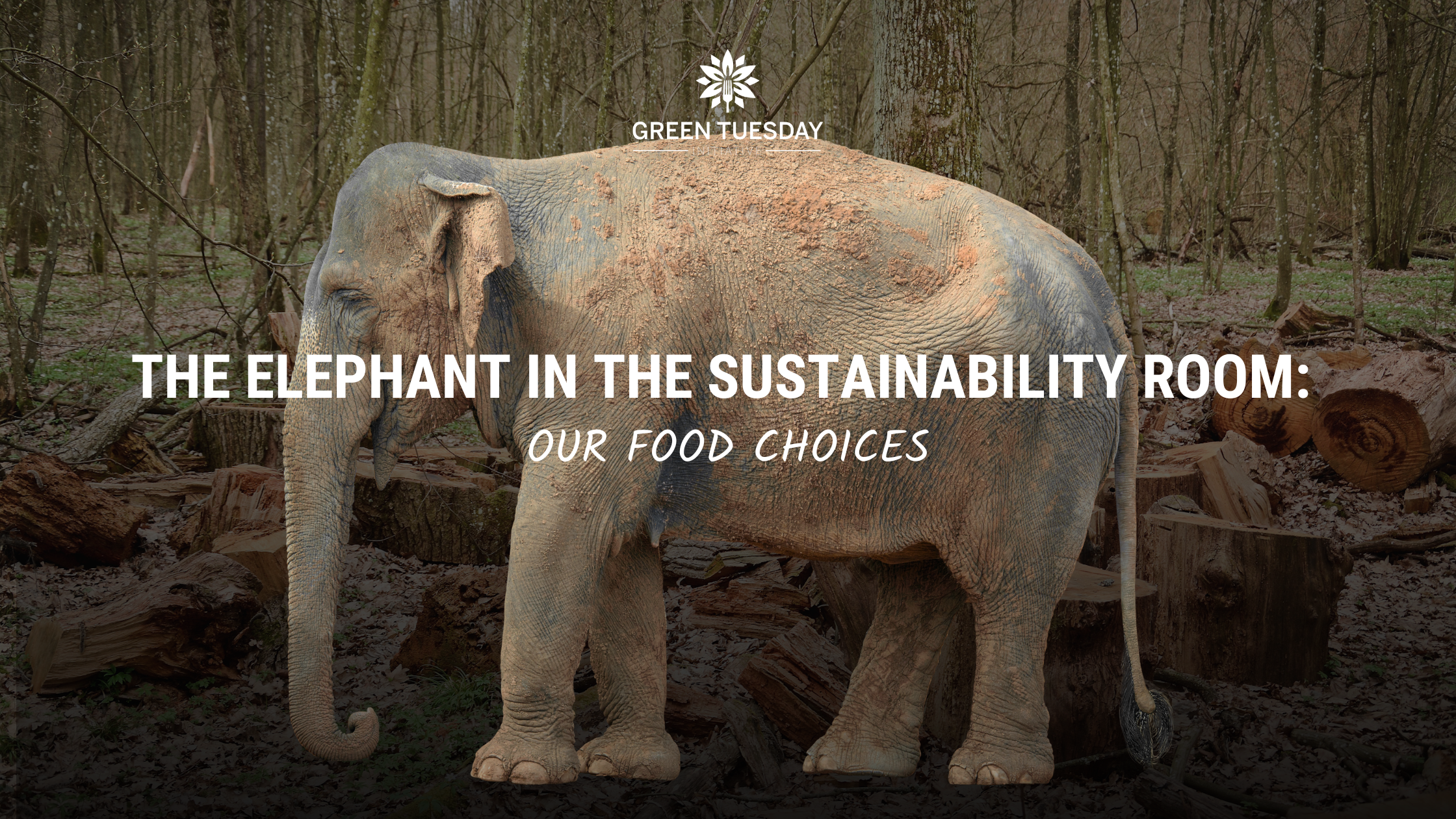 Banner Image with an elephant standing in front of deforested land titled, "The Elephant in The Sustainability Room: Our Food Choices." #LetsTalkAboutIt